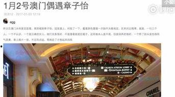 澳门最新爆料快报网址,揭秘热点事件，追踪最新动态